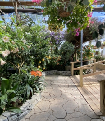 Logee's Plants for Home &amp; Garden